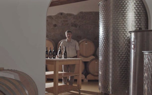 gallura winery guided tour with local wine tasting and sardinian appetizers in olbia-5