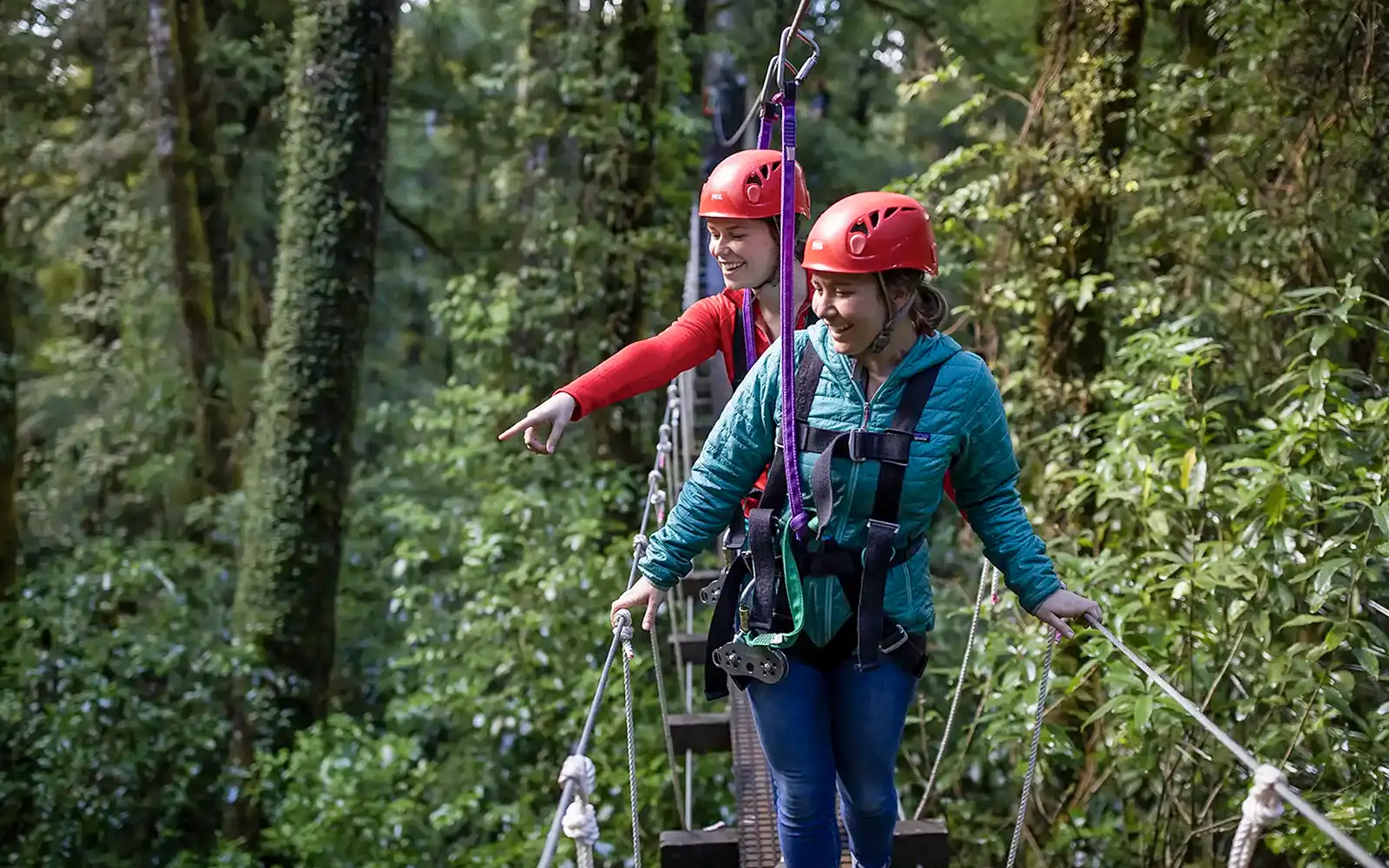 Participants on a zipline tour in Rotorua Forest, wearing safety gear and helmets.