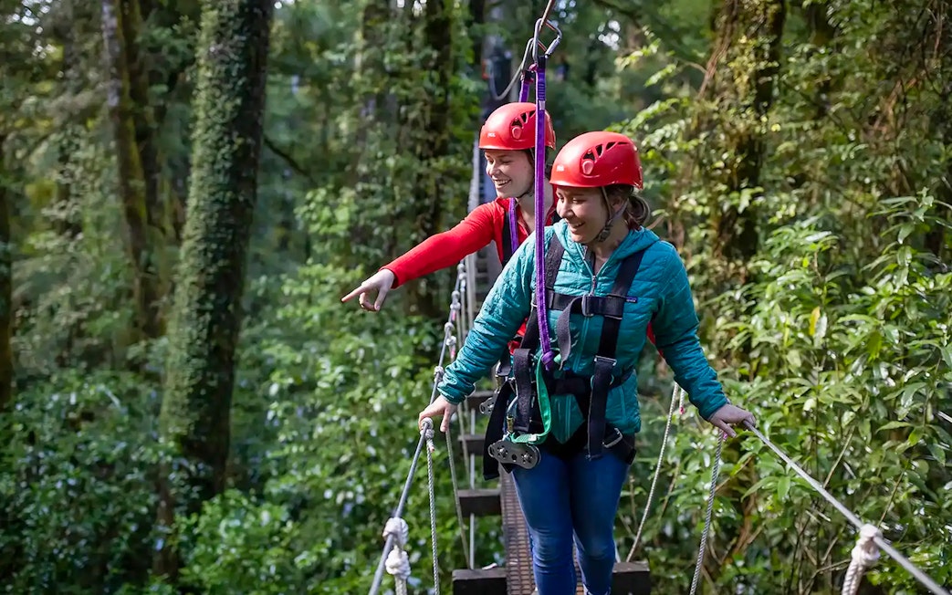 Participants on a zipline tour in Rotorua Forest, wearing safety gear and helmets.