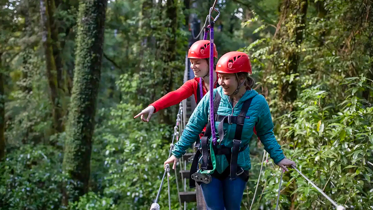 Participants on a zipline tour in Rotorua Forest, wearing safety gear and helmets.