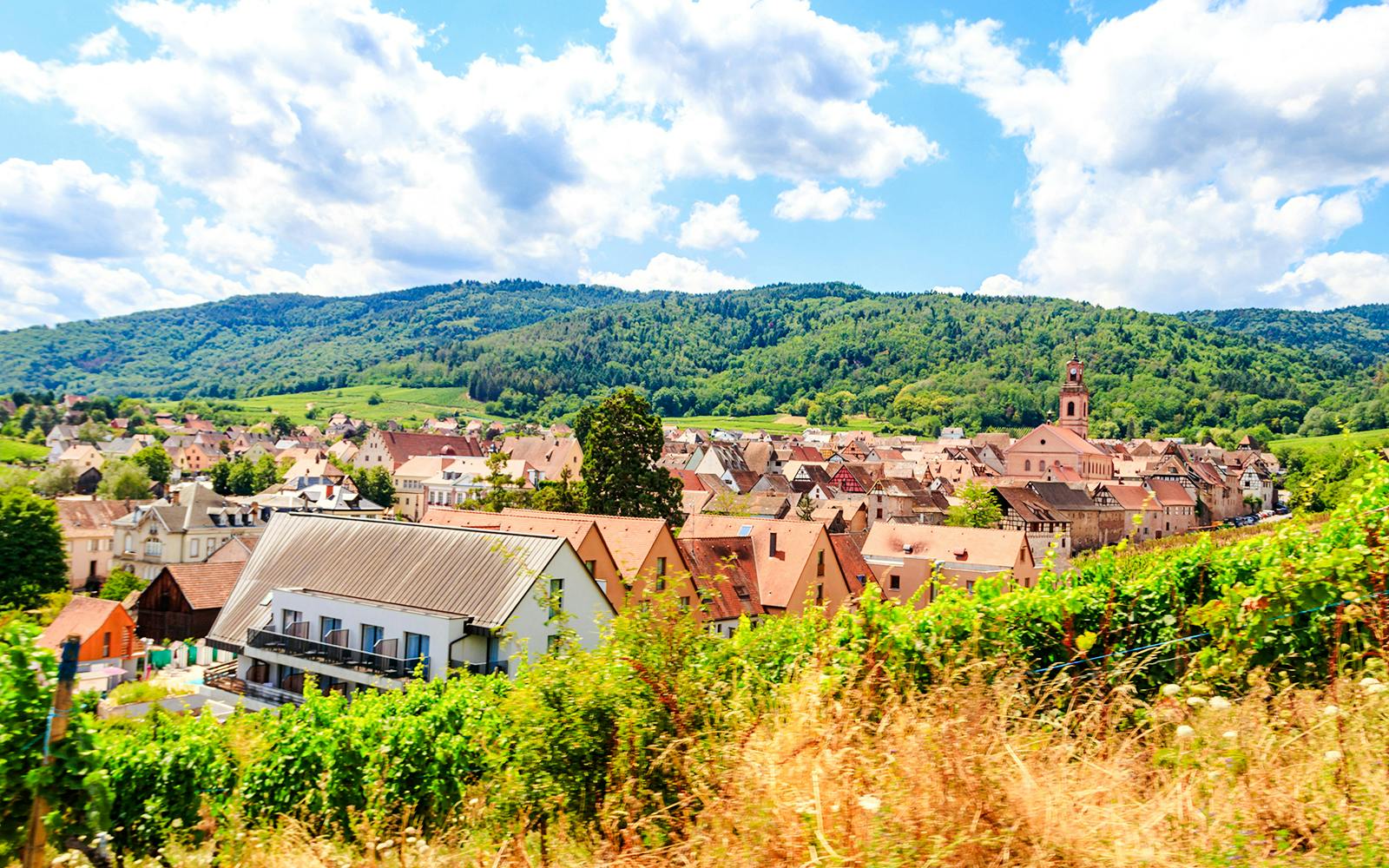 Riquewihr village with vineyards in foreground, Alsace Wine Route, France.