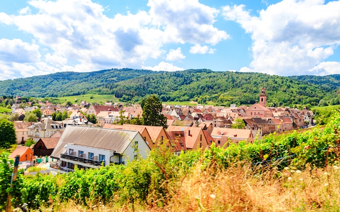 Riquewihr village with vineyards in foreground, Alsace Wine Route, France.