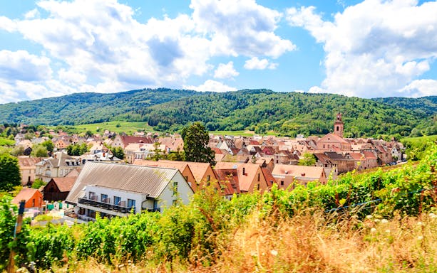 Riquewihr village with vineyards in foreground, Alsace Wine Route, France.