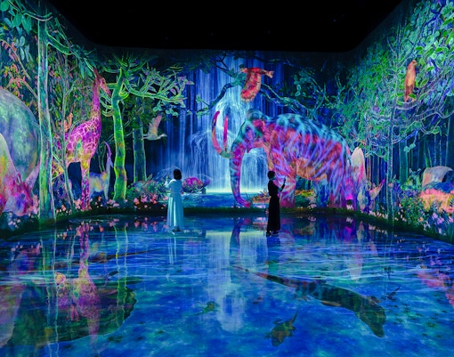 teamLab Planets Tokyo, immersive digital forest with colorful animals and visitors exploring.