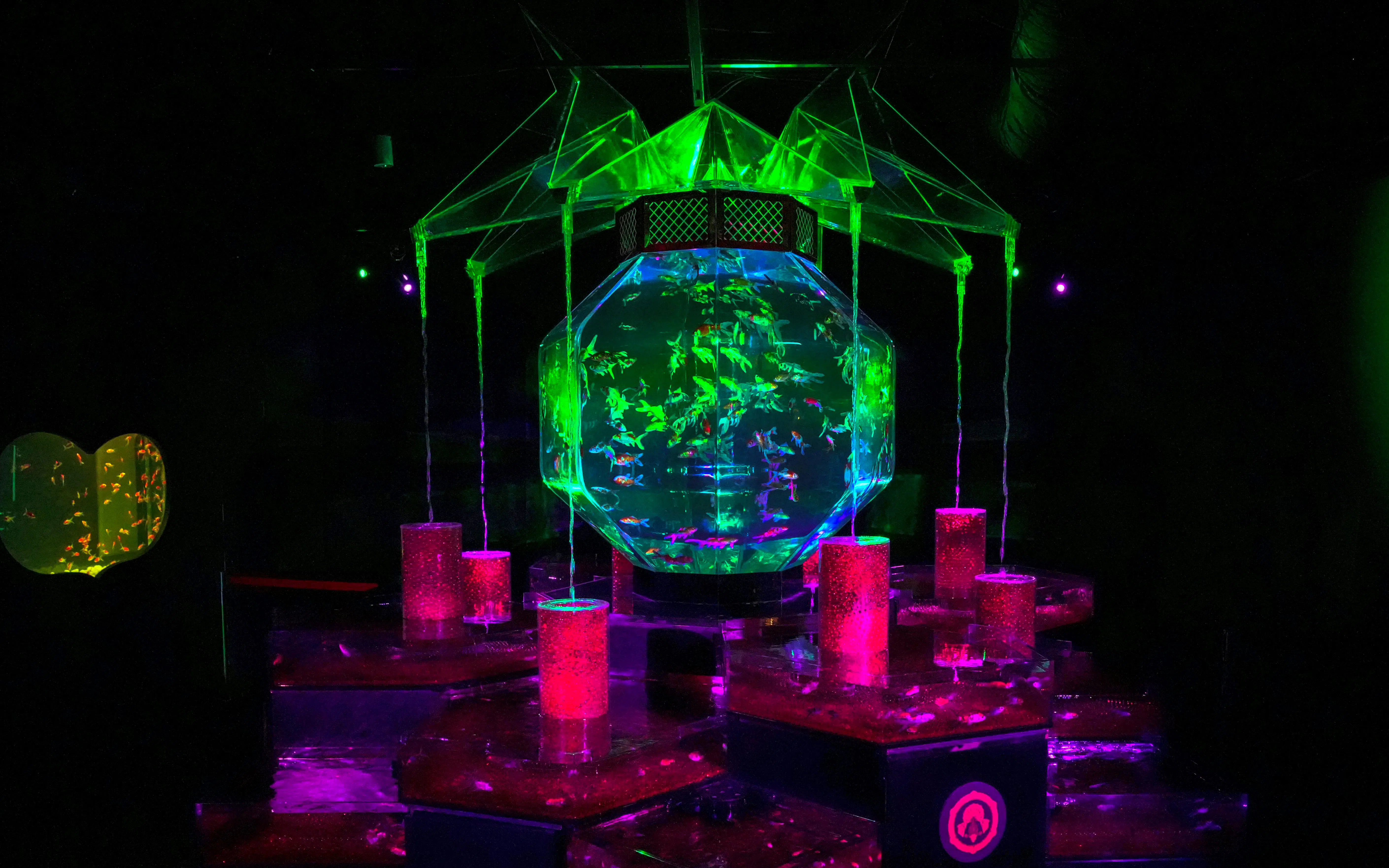 Colorful illuminated aquarium display at Art Aquarium Museum GINZA.