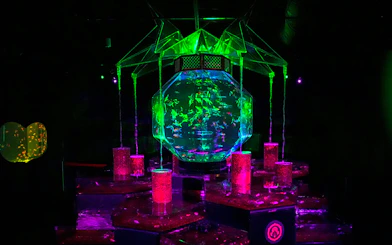 Colorful illuminated aquarium display at Art Aquarium Museum GINZA.