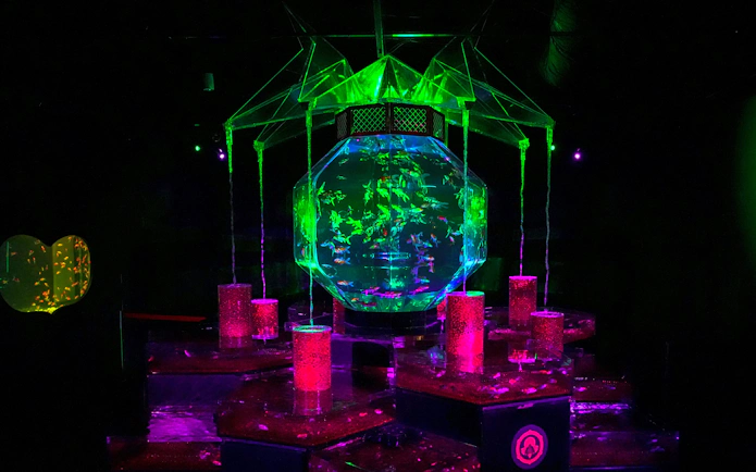 Colorful illuminated aquarium display at Art Aquarium Museum GINZA.