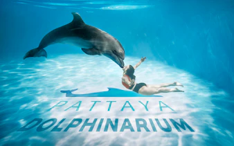 Dolphin interacting with swimmer at Pattaya Dolphinarium, Thailand.