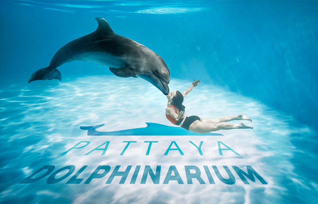 Dolphinarium Pattaya