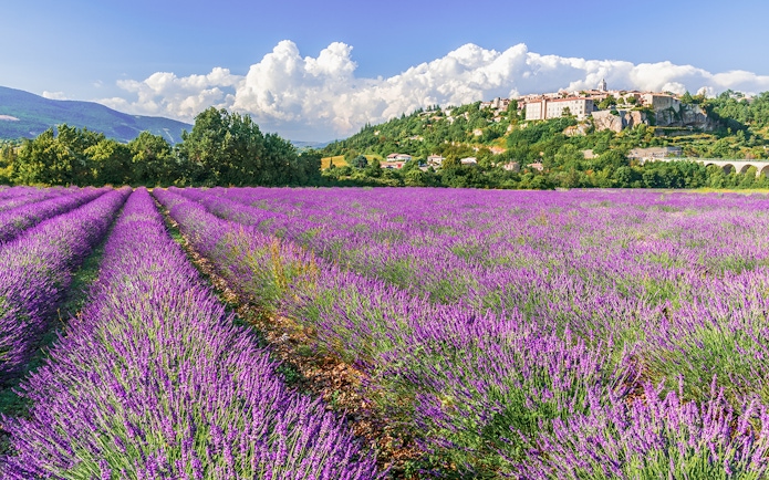 Lavender fields in Sault with a village on a hill in the background.