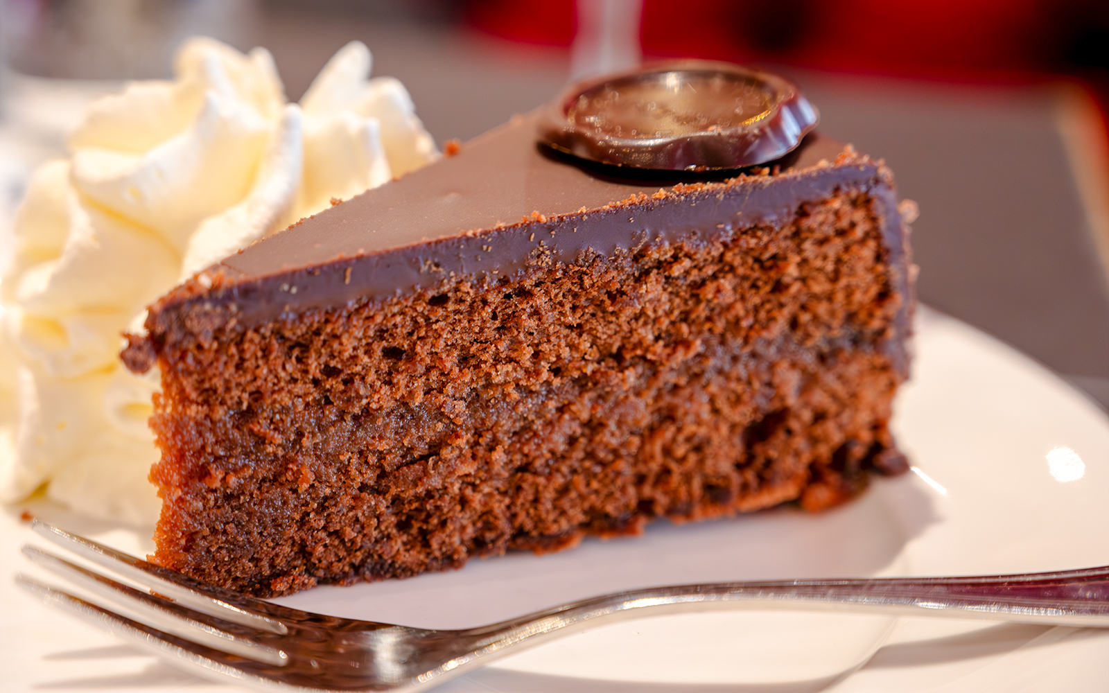 Sachertorte chocolate cake slice with whipped cream on a plate.