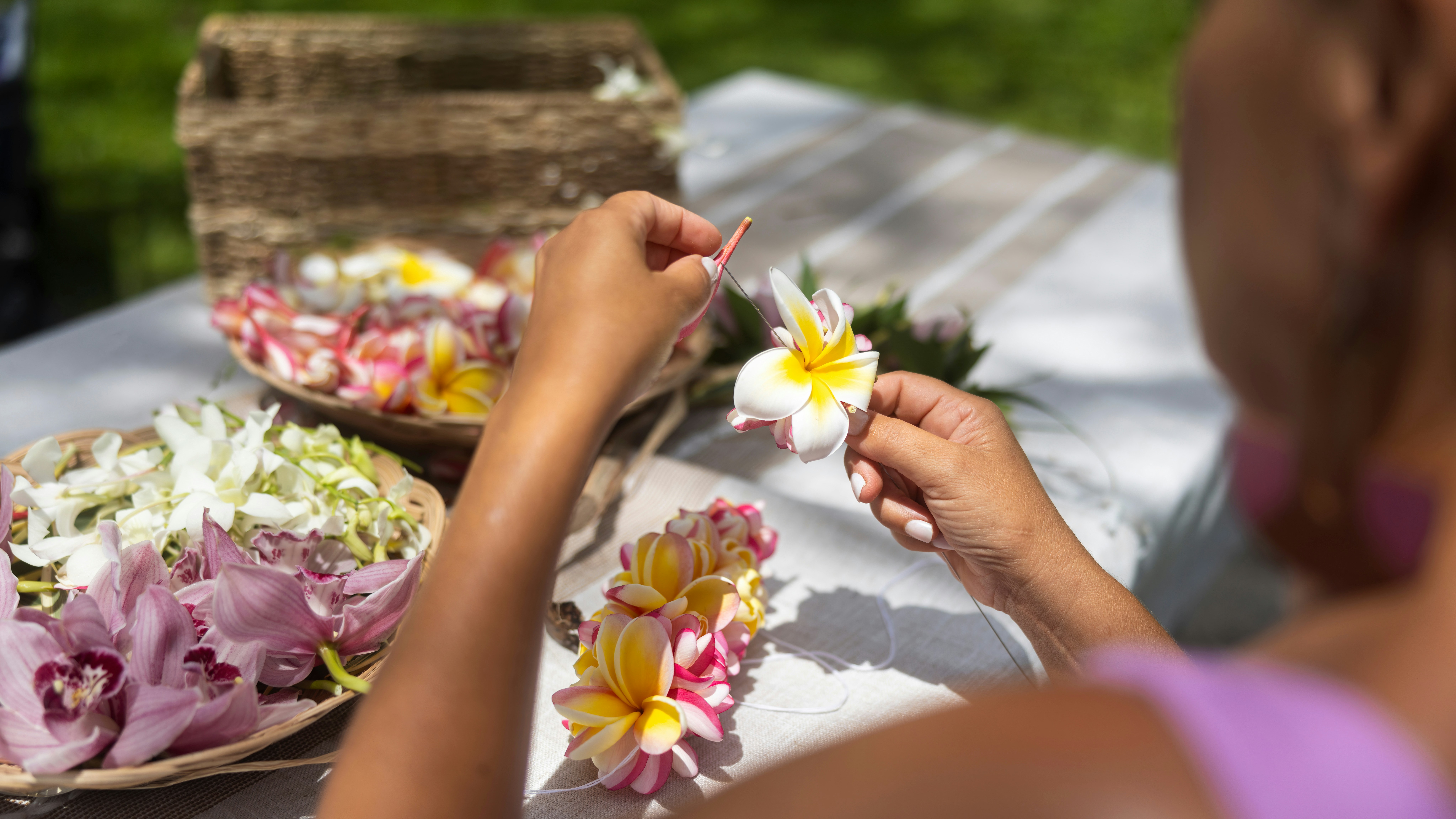 Woman crafting Hawaiian lei with plumeria flowers.