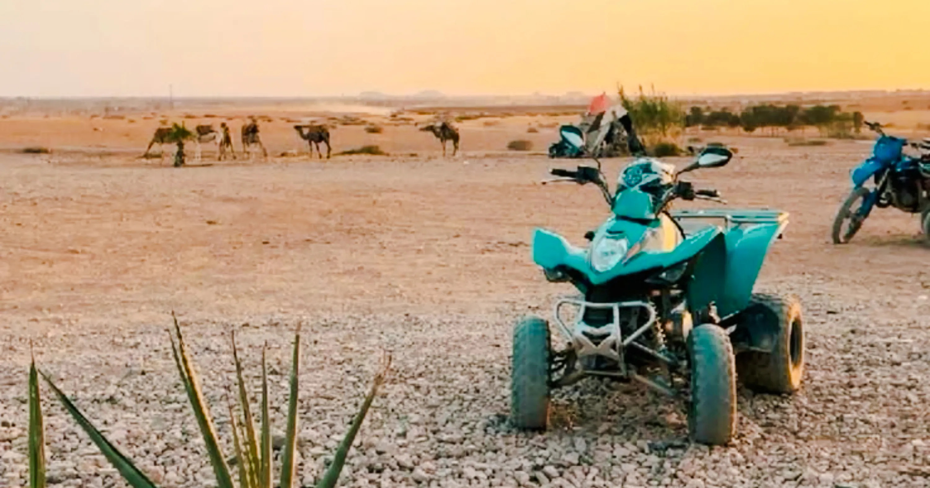 Quad bike parked on rocky terrain with camels in the background, Agafay Dunes, Marrakesh.