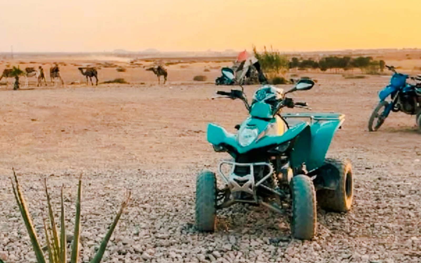 Marrakesh: Agafay Desert Small-Group Quad Bike Tour (Product 55408)