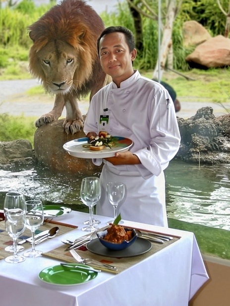 Chef serving dish with lion visible through window at Bali Safari dining experience.