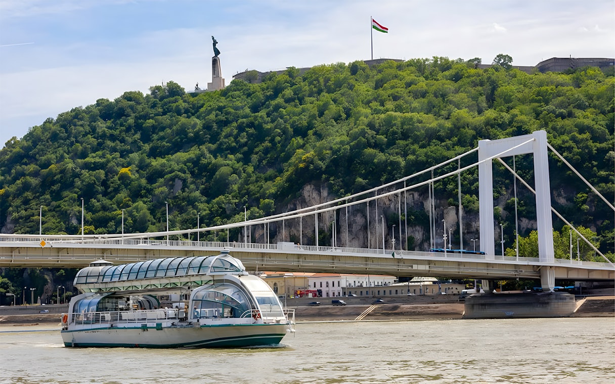 Boat cruise passing under Elisabeth Bridge in Budapest.