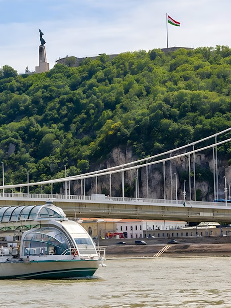 Boat cruise passing under Elisabeth Bridge in Budapest.