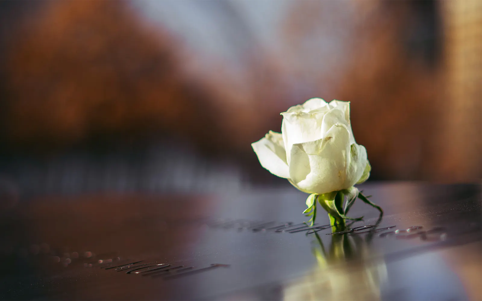 White rose placed on a name at the 9/11 Memorial in New York City.