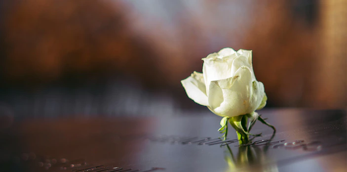White rose placed on a name at the 9/11 Memorial in New York City.