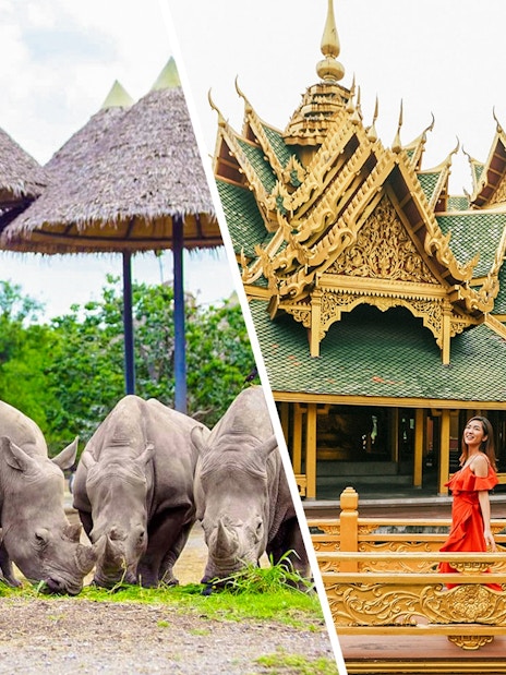 Rhinos grazing under thatched umbrellas at Safari World; woman in red at Ancient City, Bangkok.