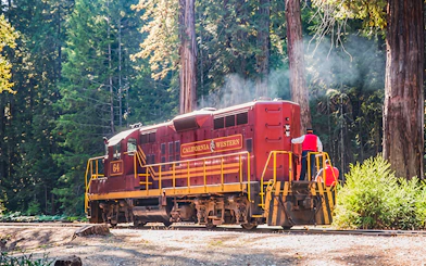 Train on California Western Railroad heading to Willits' Historic Wolf Tree Turn tour, San Francisco.