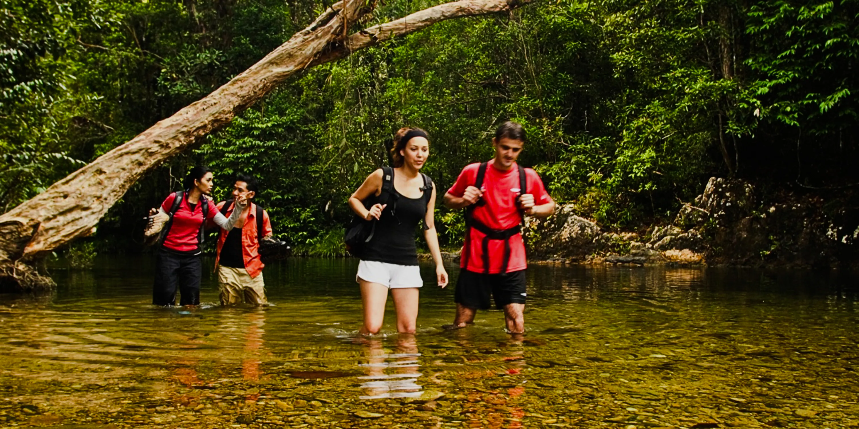 from kuala lumpur: taman negara national park private day trip with canopy walkway-13