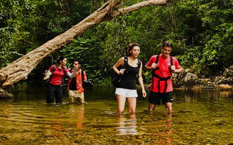 desde kuala lumpur: excursión privada de un día al parque nacional de taman negara con paseo por las copas de los árboles-13