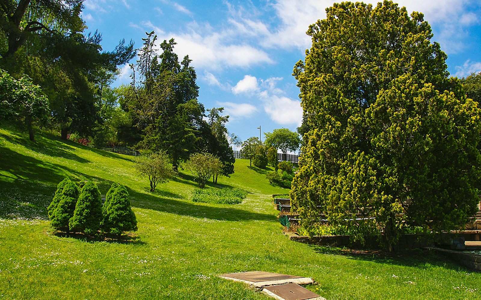 Lush greenery and trees in Mossèn Cinto Verdaguer Gardens, Barcelona.