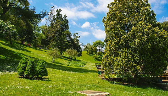 Lush greenery and trees in Mossèn Cinto Verdaguer Gardens, Barcelona.
