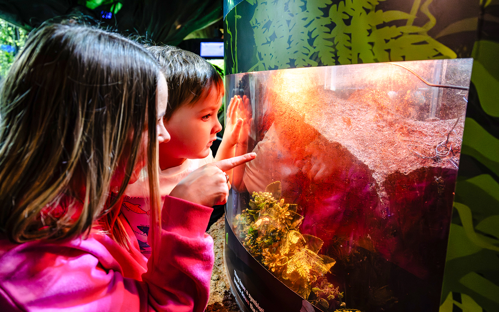 Children observing a terrarium at SEA Life Brighton.