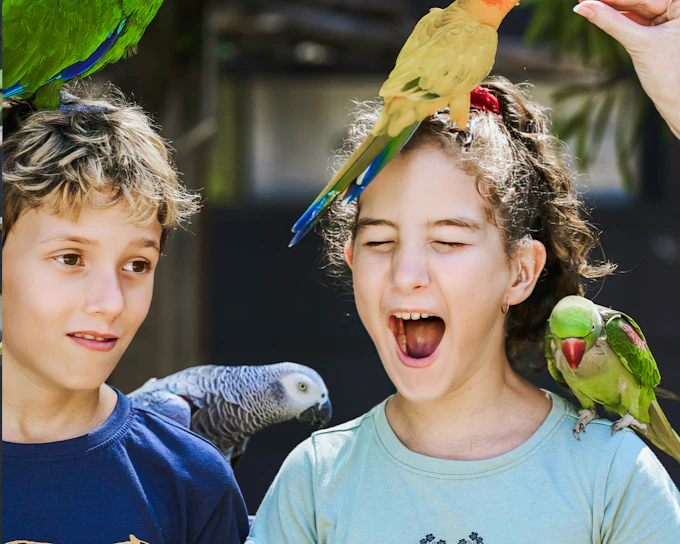 Tickets to Maleny Botanic Gardens and Bird World