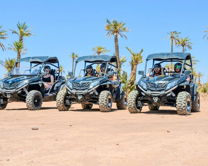 Palmeraie Buggy Ride with Hotel Transfers