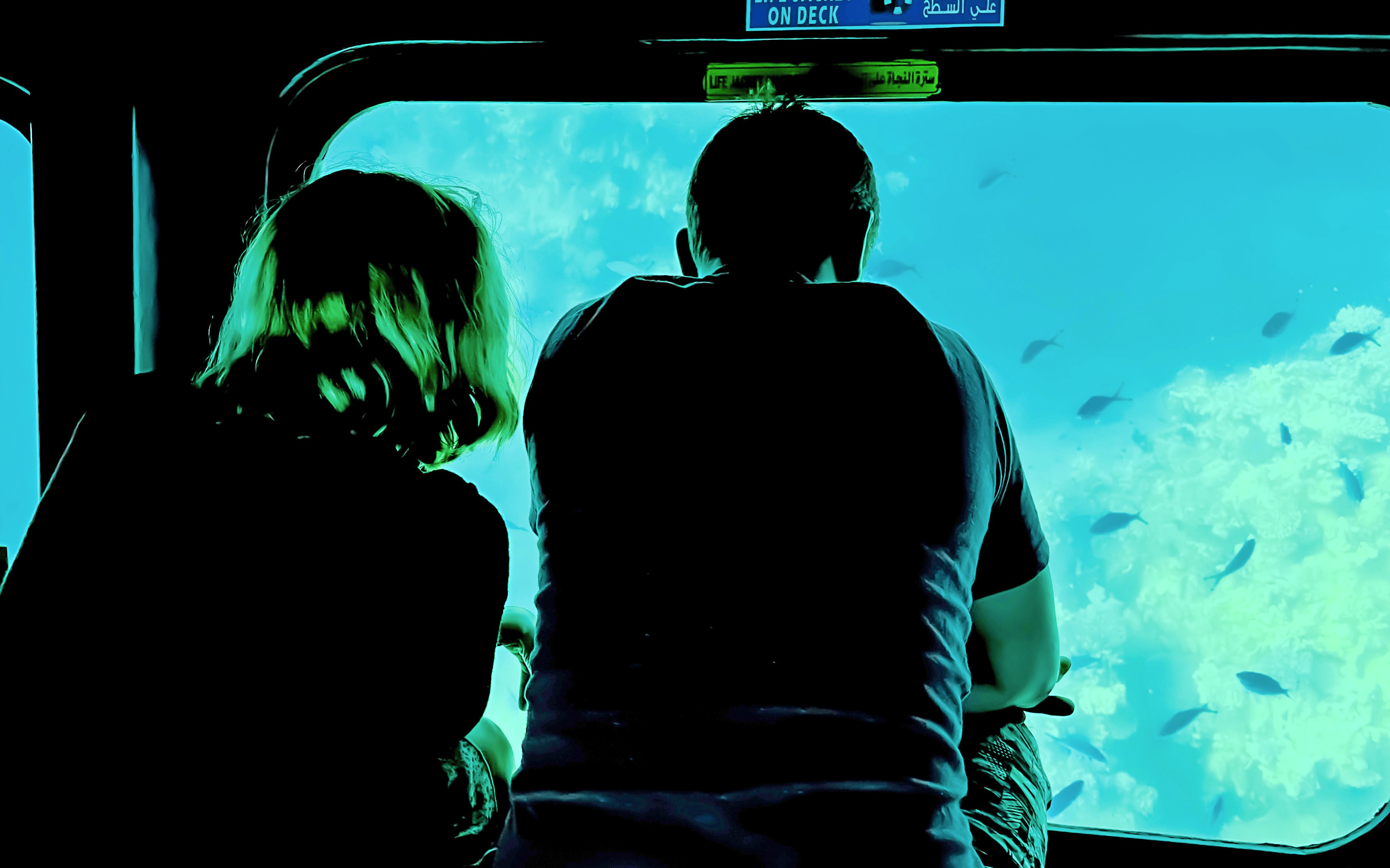 Couple viewing fish through submarine window on Royal Seascope, Hurghada.