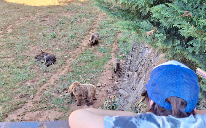 Visitors observing bears at Cabárceno Nature Park, Spain.