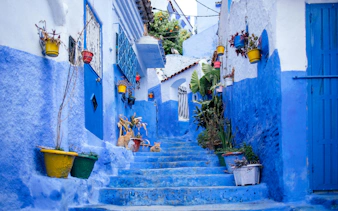 Blue alley with colorful potted plants in Chefchaouen, Morocco.