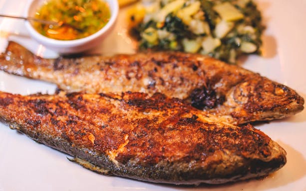 Grilled fish with sauce and vegetables on a plate.