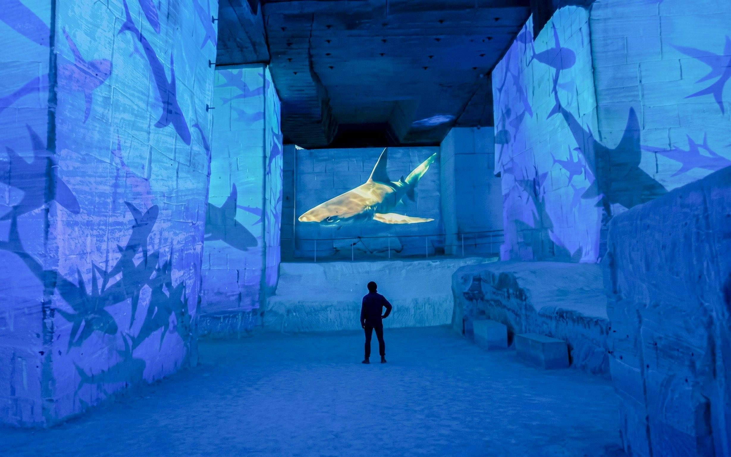 Immersive ocean exhibit with shark projection at Carrières des Lumières, France.