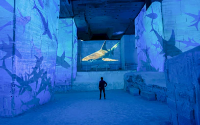 Immersive ocean exhibit with shark projection at Carrières des Lumières, France.