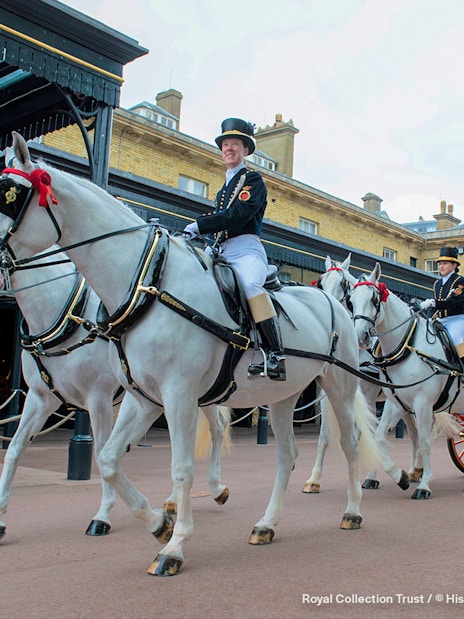 Windsor Grey horses pulling a carriage at The Royal Mews.