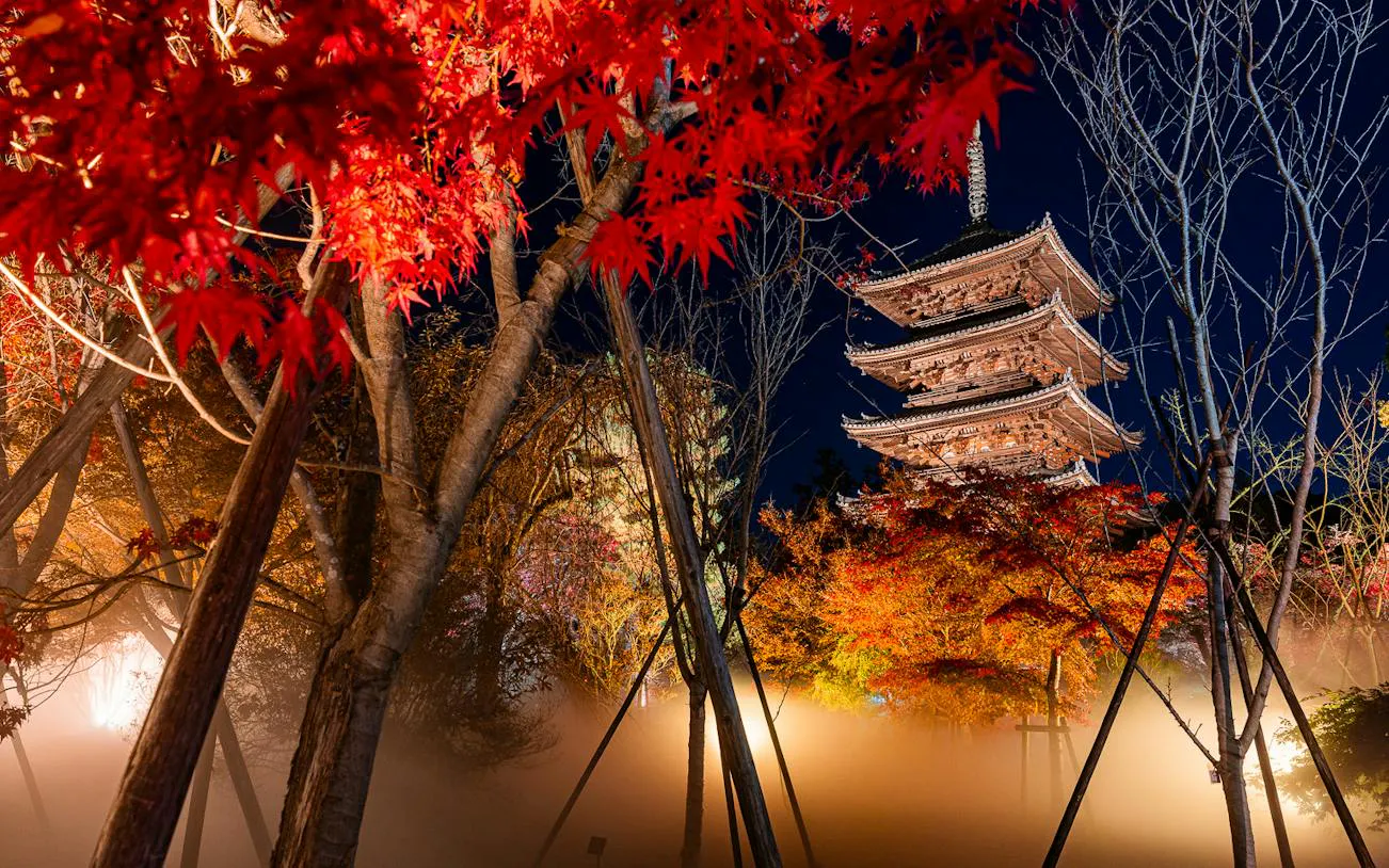 Ninna-ji Temple pagoda illuminated at night with vibrant autumn foliage in Kyoto.