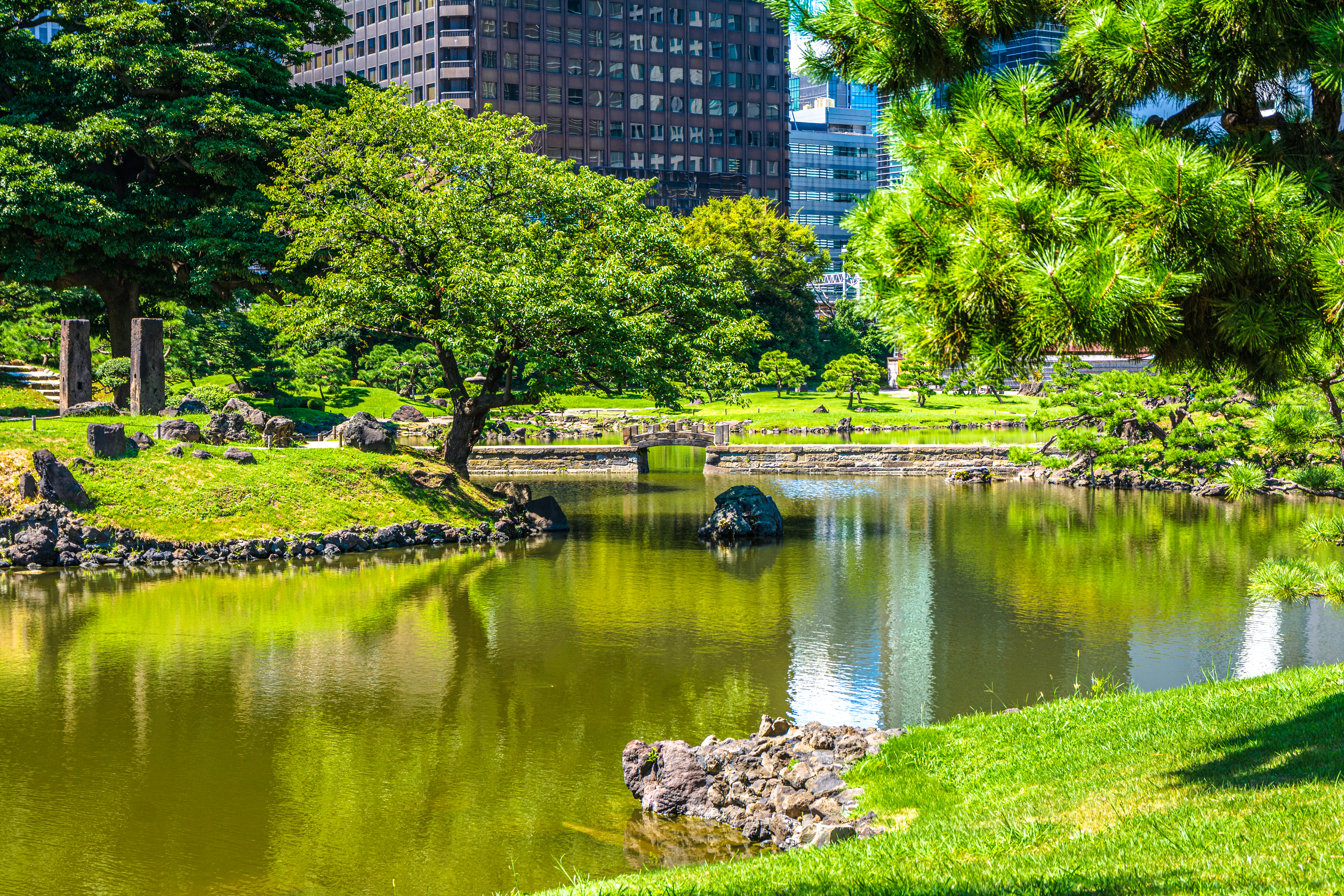 Kyu Shiba Rikyu Garden pond with stone bridge and lush greenery, Tokyo.
