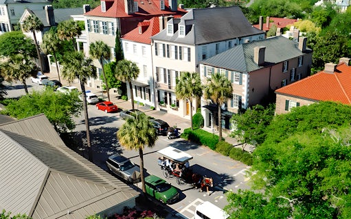 Charleston street with horse-drawn carriage passing historic homes and palm trees.