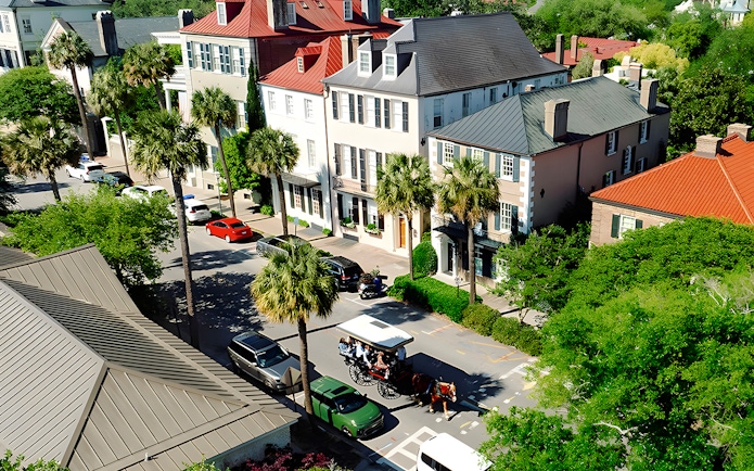 Charleston street with horse-drawn carriage passing historic homes and palm trees.