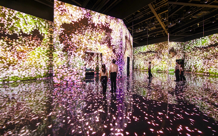 Couple exploring digital flower exhibit at Arte Museum Dubai.