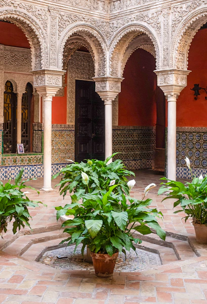 Courtyard with ornate arches and potted plants at Casa de Salinas, Seville.