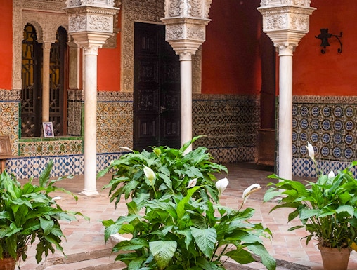 Courtyard with ornate arches and potted plants at Casa de Salinas, Seville.