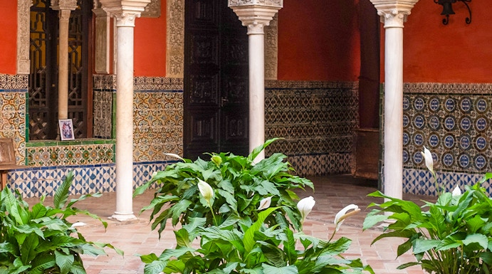 Courtyard with ornate arches and potted plants at Casa de Salinas, Seville.