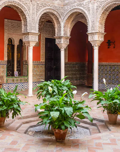 Courtyard with ornate arches and potted plants at Casa de Salinas, Seville.