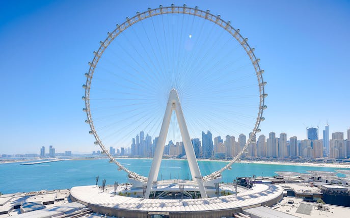 Ain Dubai wheel with city skyline and waterfront in the background.
