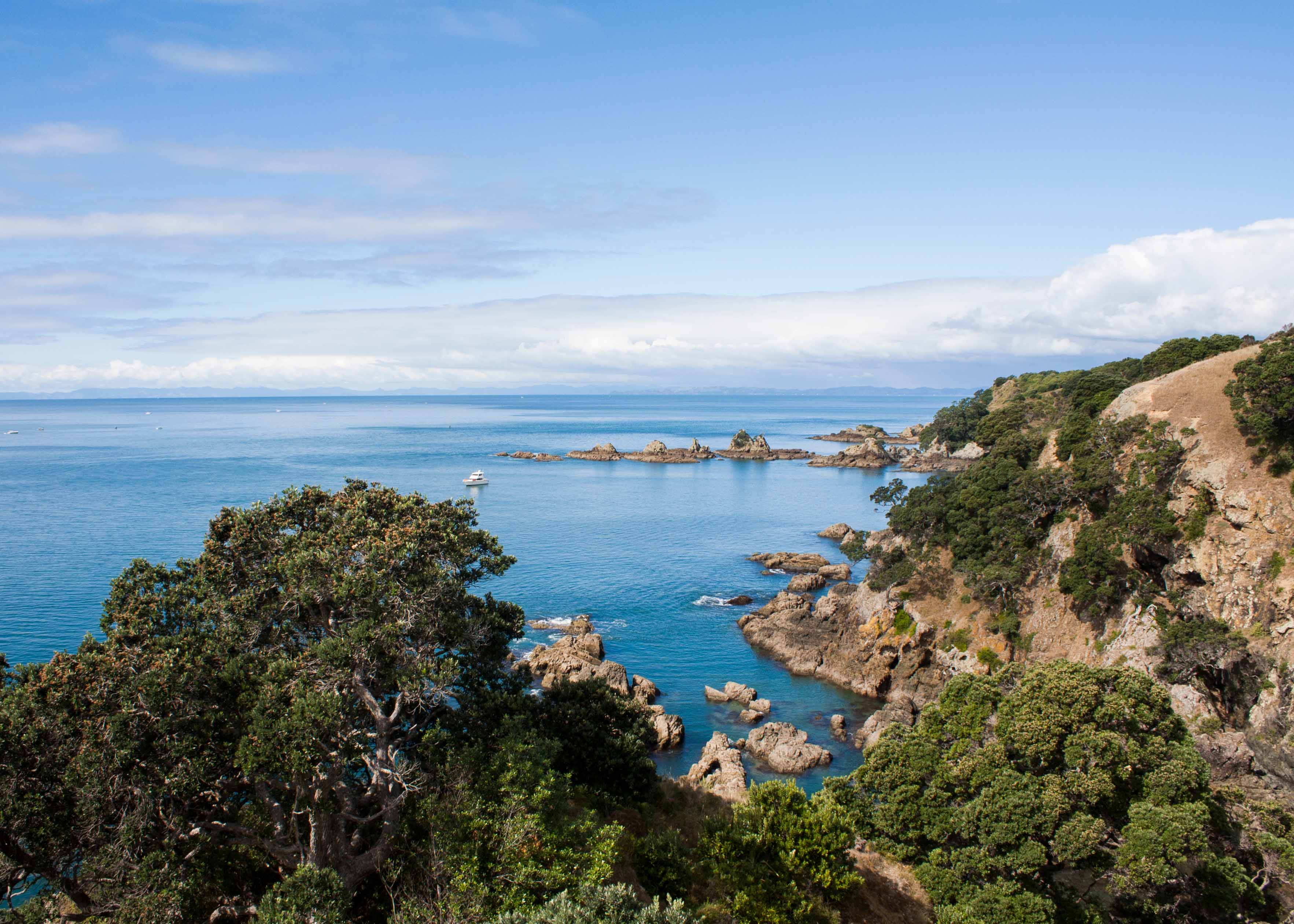 Day Trips from Auckland